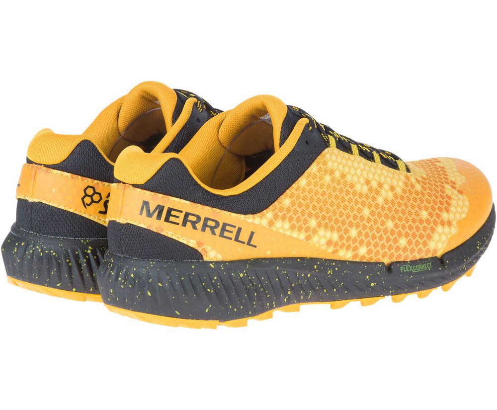 Tenis Senhora - Merrell Agility Synthesis X Honey Stinger - Amarelas - QFL146739